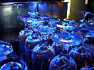 DSCN5893.JPG